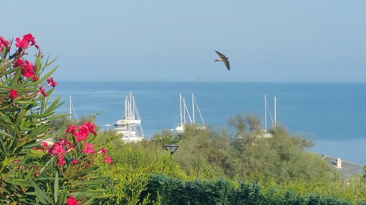 Porteo - Les Terrasses Du Port Сентури Екстериор снимка